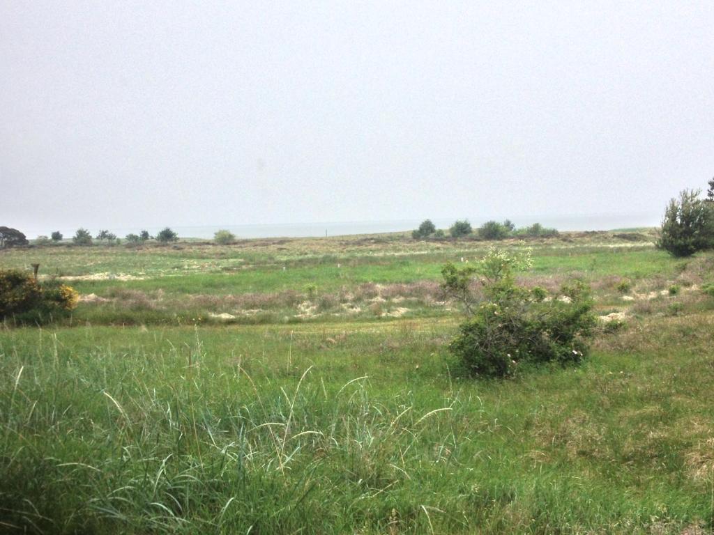 Hotel Vadehavet Rømø Kirkeby Buitenkant foto